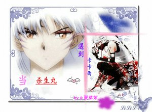 《(综漫同人)当杀生腕遇到卡卡西》