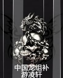 中国龙组补