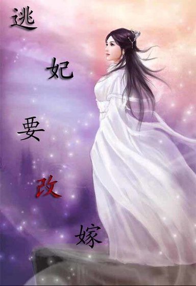 《逃妃要改嫁》