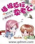 插根草标卖老公
