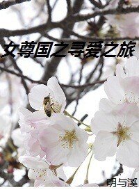 《女尊国之寻矮之旅》