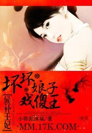 《候补王妃:坏坏娘子戏傻王》