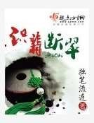 《识翡断翠》