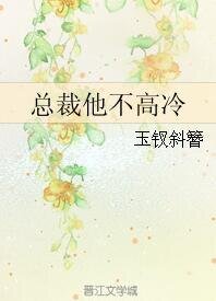 《总裁他不高冷》