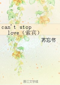 《(海贼王同人)can't stop love(索宾)》