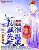 《潜婚觅矮,总裁先生很温意》