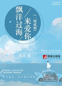 飘洋过海来爱你:一撞成婚/我在苏黎世等你