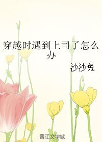 《穿越时遇到上司了怎么办》