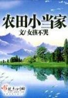 《农田小当家》