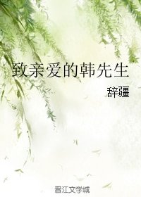 致亲爱的韩先生