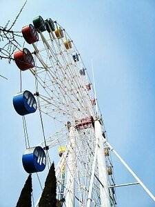 请你到我怀里来