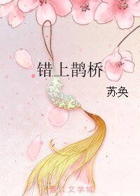《错上鹊桥》