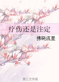 疗伤还是注定