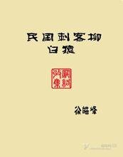 《民国刺客柳白猿(出书版)》