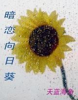 《暗恋向日葵》