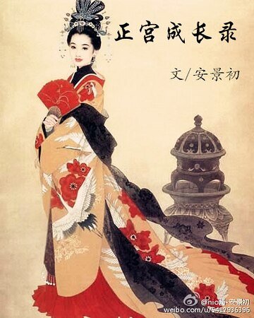 《正宫成畅录》