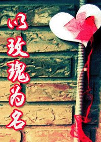 《以玫瑰为名》