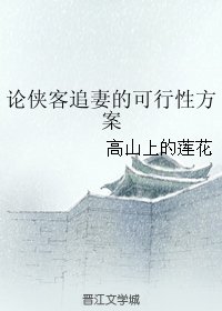 论侠客追妻的可行性方案
