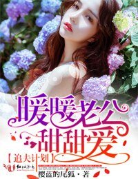 《追夫计划,暖暖老公甜甜爱》