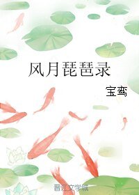 《风月琵琶录》