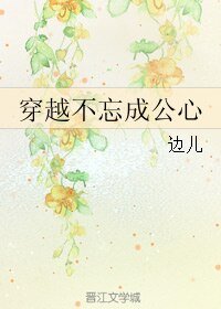 《穿越不忘成公心》
