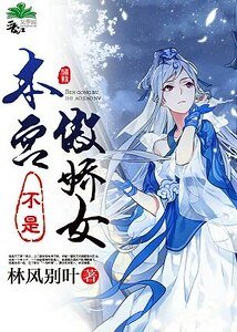 《本宫不是傲娇女》