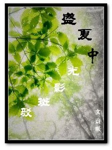 《盛夏中光影斑驳》