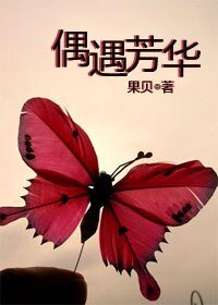 《偶遇芳华》