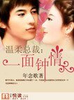温柔总裁：一面钟情