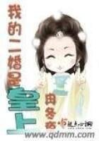 《我的二婚是皇上》