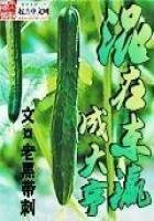 《混在东瀛成大亨》