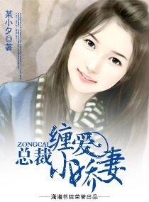 总裁缠爱小娇妻