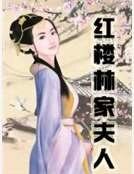 《红楼林家夫人》