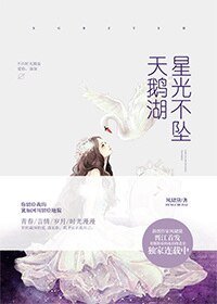 《星光不坠天鹅湖》