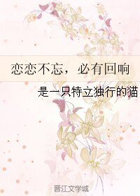 《恋恋不忘,必有回响》