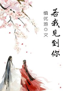 《若我见到你》
