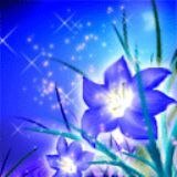 《一朵海棠花》