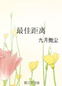 《最佳距离》