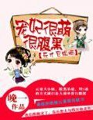 《天才召唤师:宠妃很萌很腹黑》