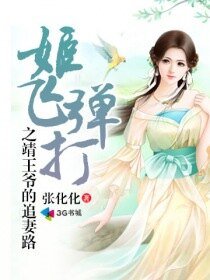 《姬飞弹打之靖王爷的追妻路》