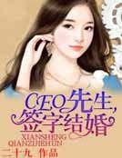 《CEO先生,签字结婚!》
