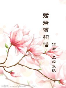 《君若曾相惜》