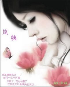 《岚姨》