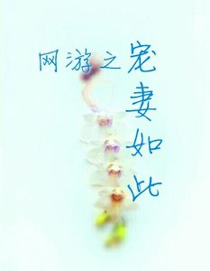《网游之宠妻如此》