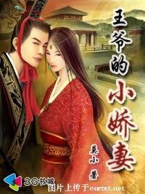 《王爷的小娇妻》