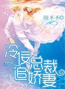 冷佞总裁追娇妻