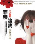 《三入豪门:罪爱流离》