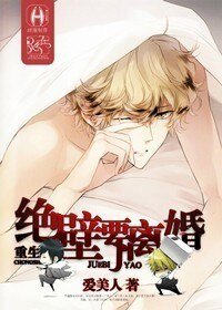 《重生之绝壁要离婚》