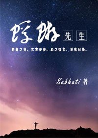 《蜉蝣先生》