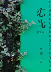 《恋光(校园)》